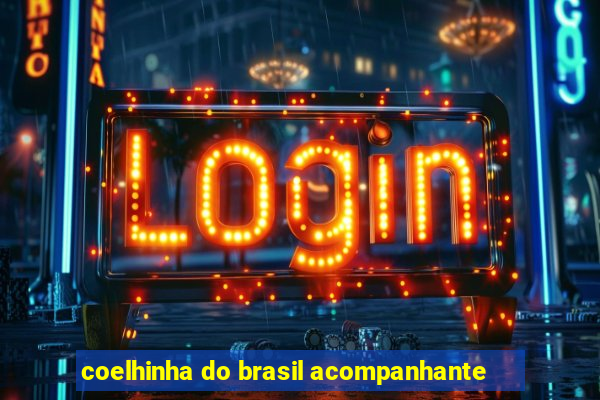 coelhinha do brasil acompanhante